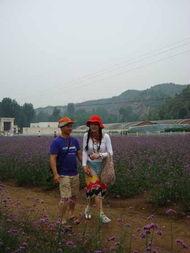 李琳最新爆料,揭秘娱乐圈惊人内幕！